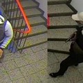 Fake news. La falsa notizia sui ladri armati avvistati a Giovinazzo