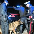 Controlli coi cani in centro, denunce e sequestri di droga