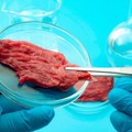 Stop al cibo sintetico: raccolte 30mila firme in Puglia