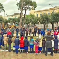 In villa i carrubi della nonna