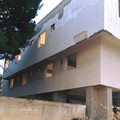Topi e scarafaggi nell'area della Casa di Riposo: de Gennaro chiede intervento urgente