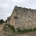 Giovinazzo in agricoltura: furti in campagna, la risposta del Consorzio
