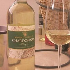 Lo chardonnay  "Maniero di Federico IGP Puglia "