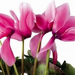 Un weekend di fede e solidarietà