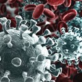 Primo morto in Italia per coronavirus: è un uomo veneto di 78 anni