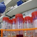 La quota degli attualmente positivi in Puglia risale oltre 2500