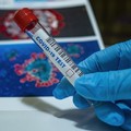 1163 nuovi casi positivi in Puglia, 51 ricoverati in più nelle ultime ore