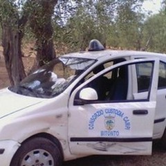 Ritrovato a Bitonto un carro agricolo rubato a Giovinazzo