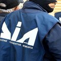 «A Giovinazzo emergerebbe l'operatività dei Capriati e Diomede-ex Mercante»