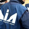 «Su Giovinazzo è sempre attivo il gruppo legato al clan Di Cosola»