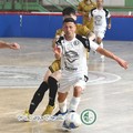 Defender Giovinazzo C5 e Difonzo, un legame che si rinnova