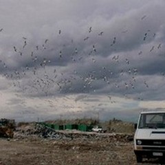 Rifiuti: nessun accordo con l'ATO di Taranto