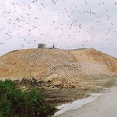 Discarica, il Sindaco risponde a LED
