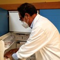 Vaccino antinfluenzale, l'Asl Bari dà il via alla distribuzione di 450mila dosi