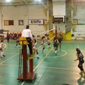 La Volley Ball cede di schianto: 0-3 col Bitonto