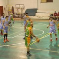 I Molfetta Ballers svettano. Fidens Giovinazzo, altro ko