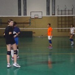 Linea verde alla Volley Ball. Fiorella: «Obiettivo salvezza»