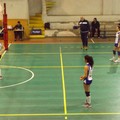 Rullo Cerignola, non c'è scampo per la Volley Ball