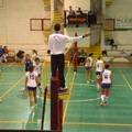Volley Ball, brutta sconfitta con la Sportilia