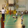 La Volley Ball si inchina al Bitonto ed è fuori dai play-off