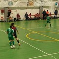 Defender Giovinazzo C5, a Mascalucia una vittoria mai in discussione