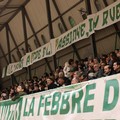 WSE Trophy di hockey, iniziano gli eventi