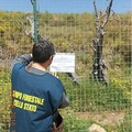 Discarica, arrivata al Comune la notifica del sequestro