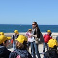 Una domenica alla scoperta di Molfetta