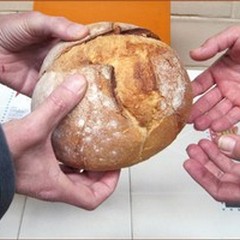 È il weekend della raccolta alimentare