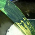 Olio, aumentano arrivi da Paesi extra Unione Europea