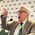 Olio d’oliva, scandalo da 180 milioni di euro. Sicolo: “Danni per l’Italia”