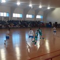Defender Giovinazzo C5, sconfitta senza attenuanti: a Regalbuto è 6-1