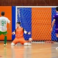 Defender Giovinazzo C5, prosegue il magic moment: 2-5 a Campobasso