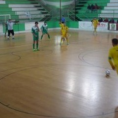 Il Giovinazzo C5 ritrova il successo: Campobasso ko