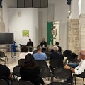 Gal Nuovo Fior d’Olivi: pubblicato il bando da 1,6 milioni di euro per nuove imprese e servizi extra-agricoli