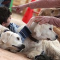 Ortoterapia e Pet Theraphy, se ne parlerà in Sala San Felice