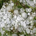 Il Consiglio Regionale della Puglia approva la mozione sullo stato di calamità