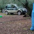 Sventato un furto di olive, ladri in fuga. Recuperati 4 quintali