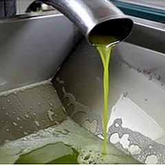 L'olio extravergine d'oliva di Giovinazzo conquista i mercati