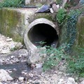 Scarichi a mare in Località San Matteo: IL VIDEO