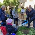 Giornata dell'albero festeggiata anche dai piccoli della  "San Tommaso "