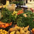 Campagna amica torna a Giovinazzo in piazzale Leichardt