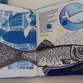 "Madremare ": una mostra alla Vedetta sul Mediterraneo