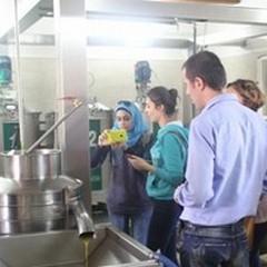 La produzione di olio materia di studio per studenti stranieri