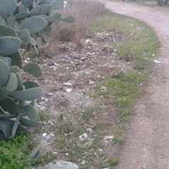 Ripulita la mini-discarica abusiva sulla provinciale per Bitonto