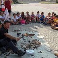 Domani c'è  "Fossilizziamoci "