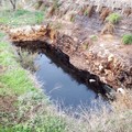 Discarica, il percolato invade le campagne (VIDEO)