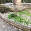 Ultim'ora: grandine e nevischio su Giovinazzo