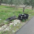 Un vizio antico: rifiuti e pneumatici lungo la provinciale per Terlizzi