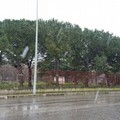 Neve anche a Giovinazzo: IL VIDEO